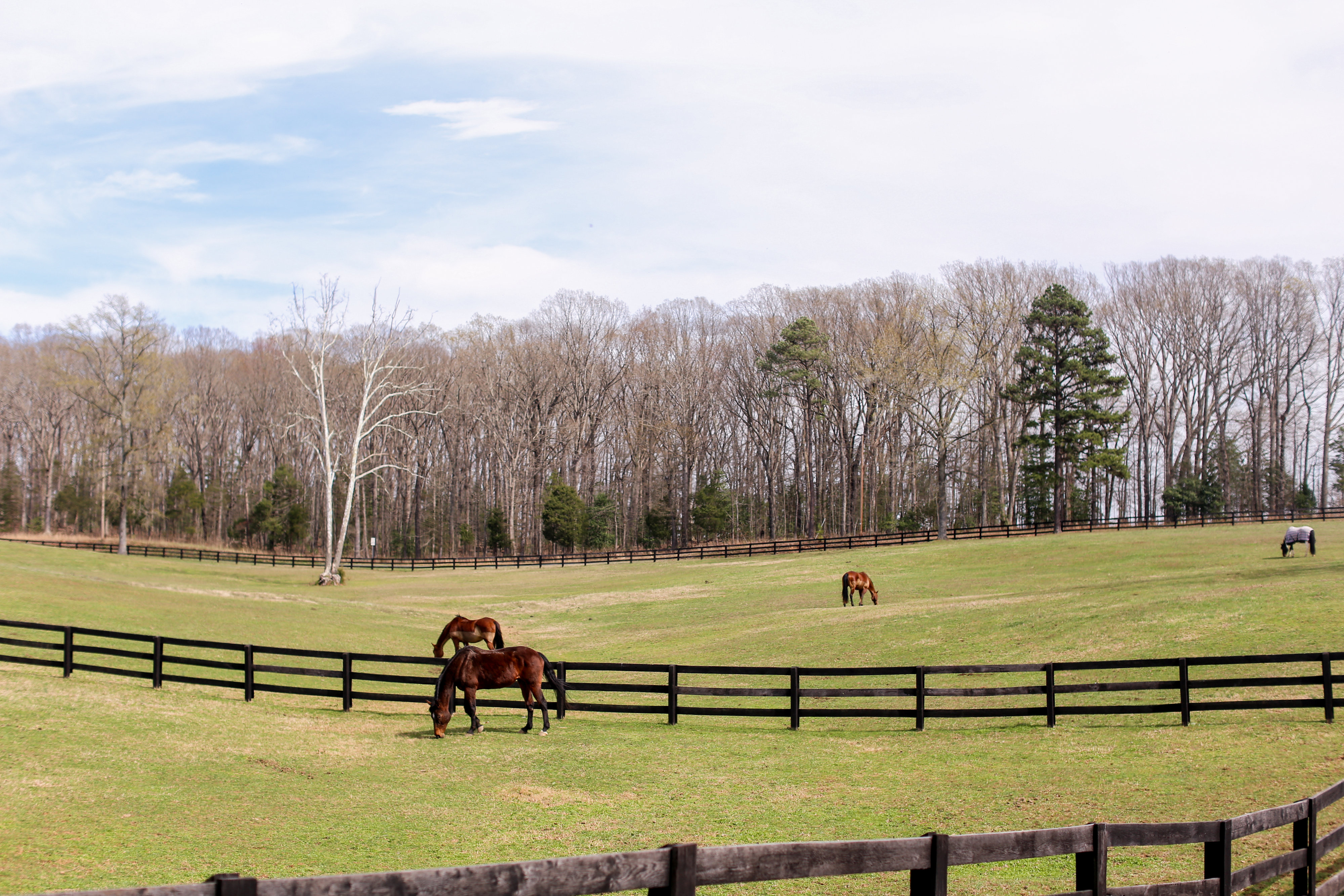 Goochland LivingMeadows at Joe Brooke Community & Real EstateKeeton